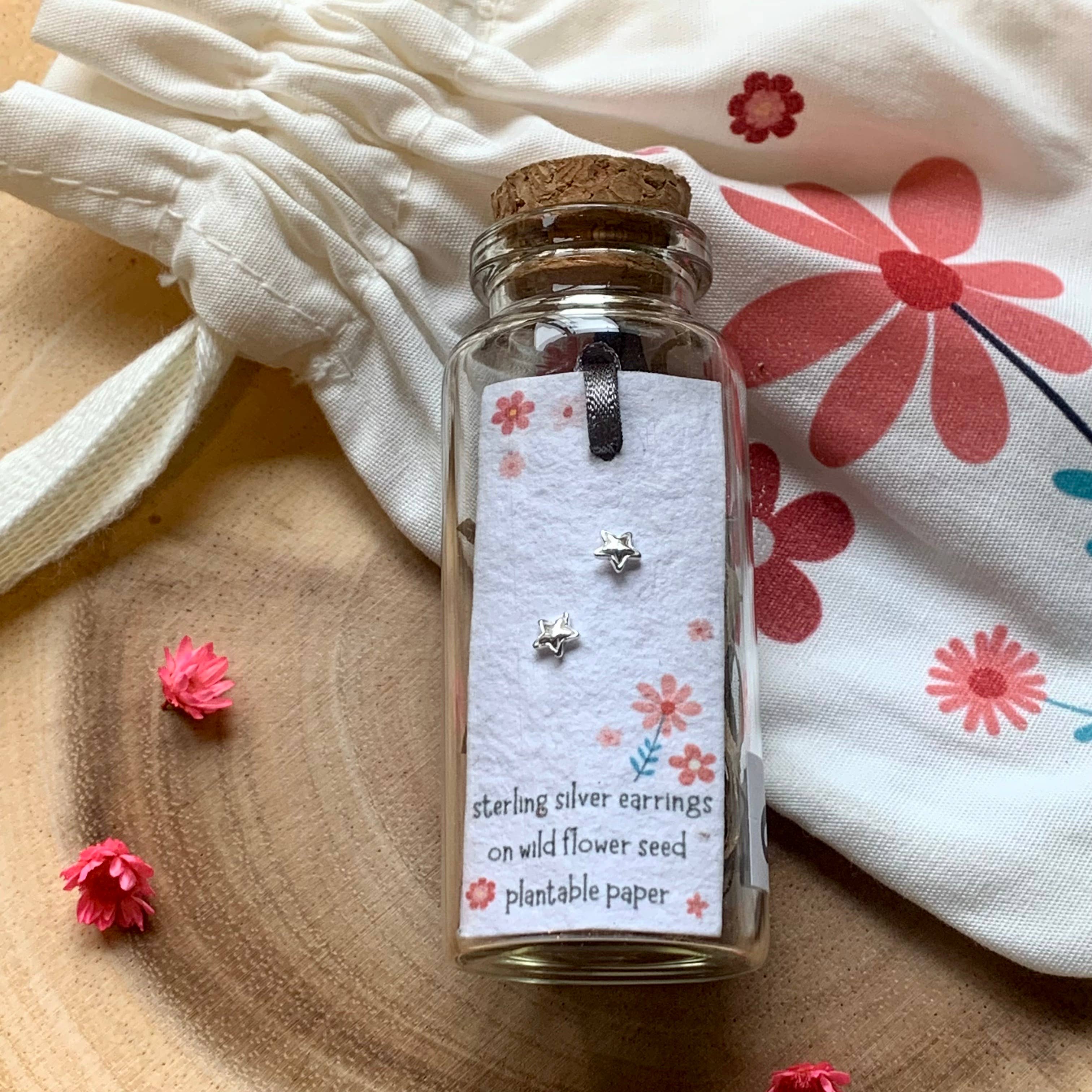 Ginger & Roo - Venta al por mayor Pendientes de botón/aretes de poste - Pendientes en botella de plata de ley con forma de estrella pequeña con bolsa de algodón 0