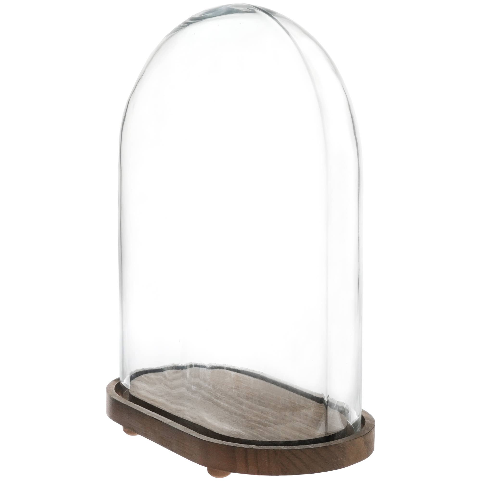 Bard's - Wholesale Decorative Tabletop Object - Bard's 11.75" x 6.125" x 15" Oval Glass Display Dome Cloche1