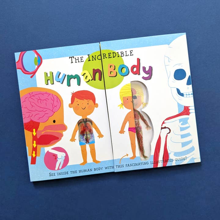 Robert Frederick Ltd - Wholesale Book - Kids - My First Human Body Book - New Version