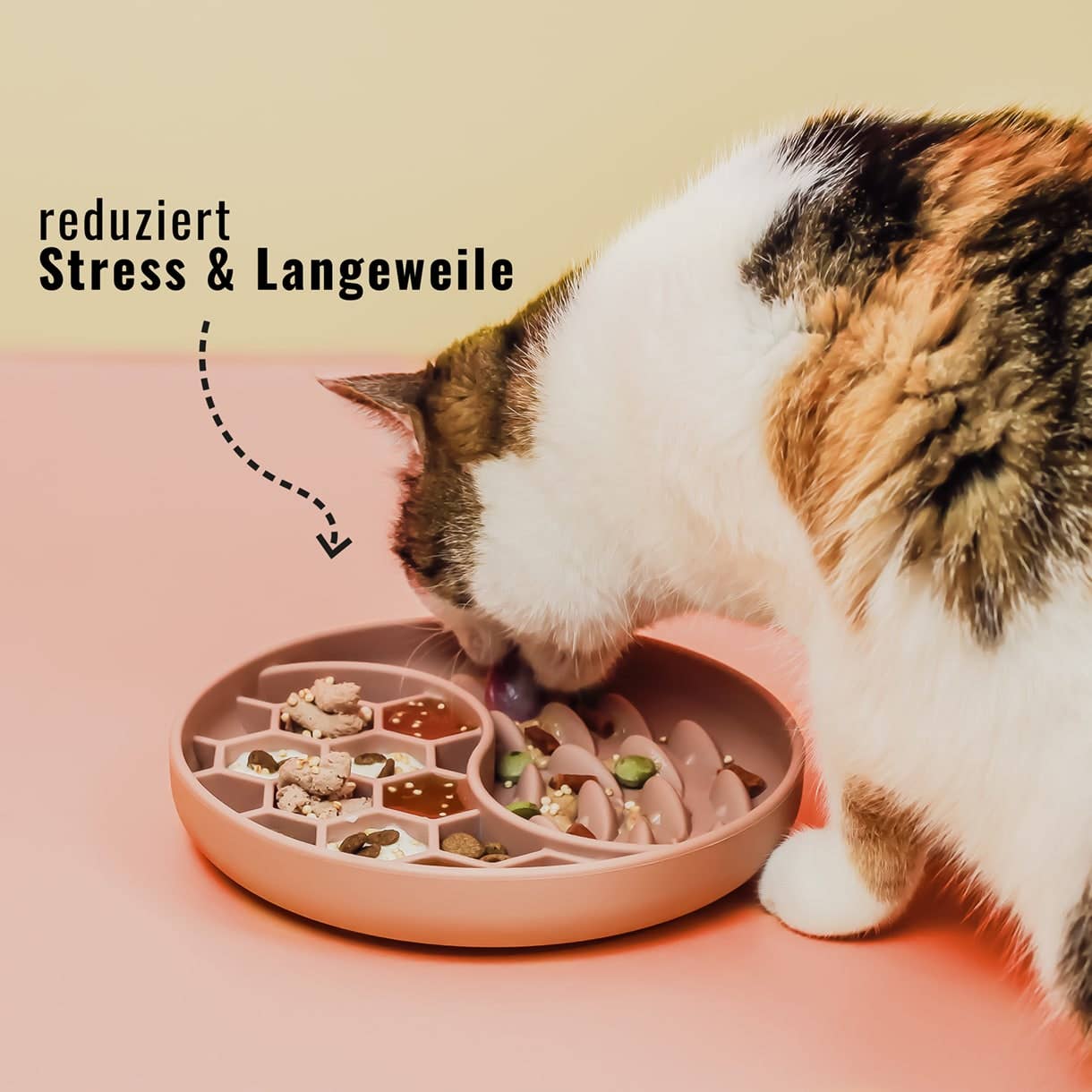 ne&no - Wholesale Pet Bowl - Cat/Dog - ne&no® Anti-Gulping Bowl / Licking Dish for Dogs & Cats36