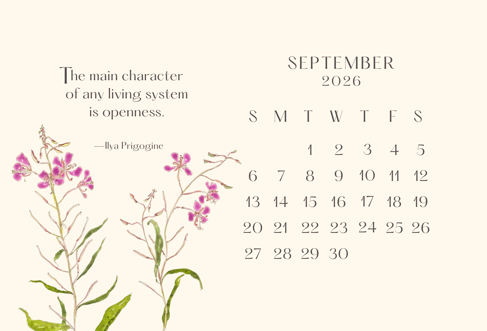 Leafy Lexicon - Wholesale Calendar - Little desktop calendar (with wooden display stand)10