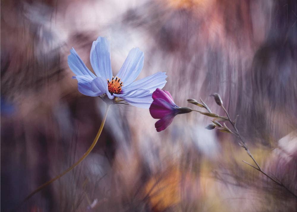 GTA ART - Wholesale Art Print - Wall art Le rendez vous2