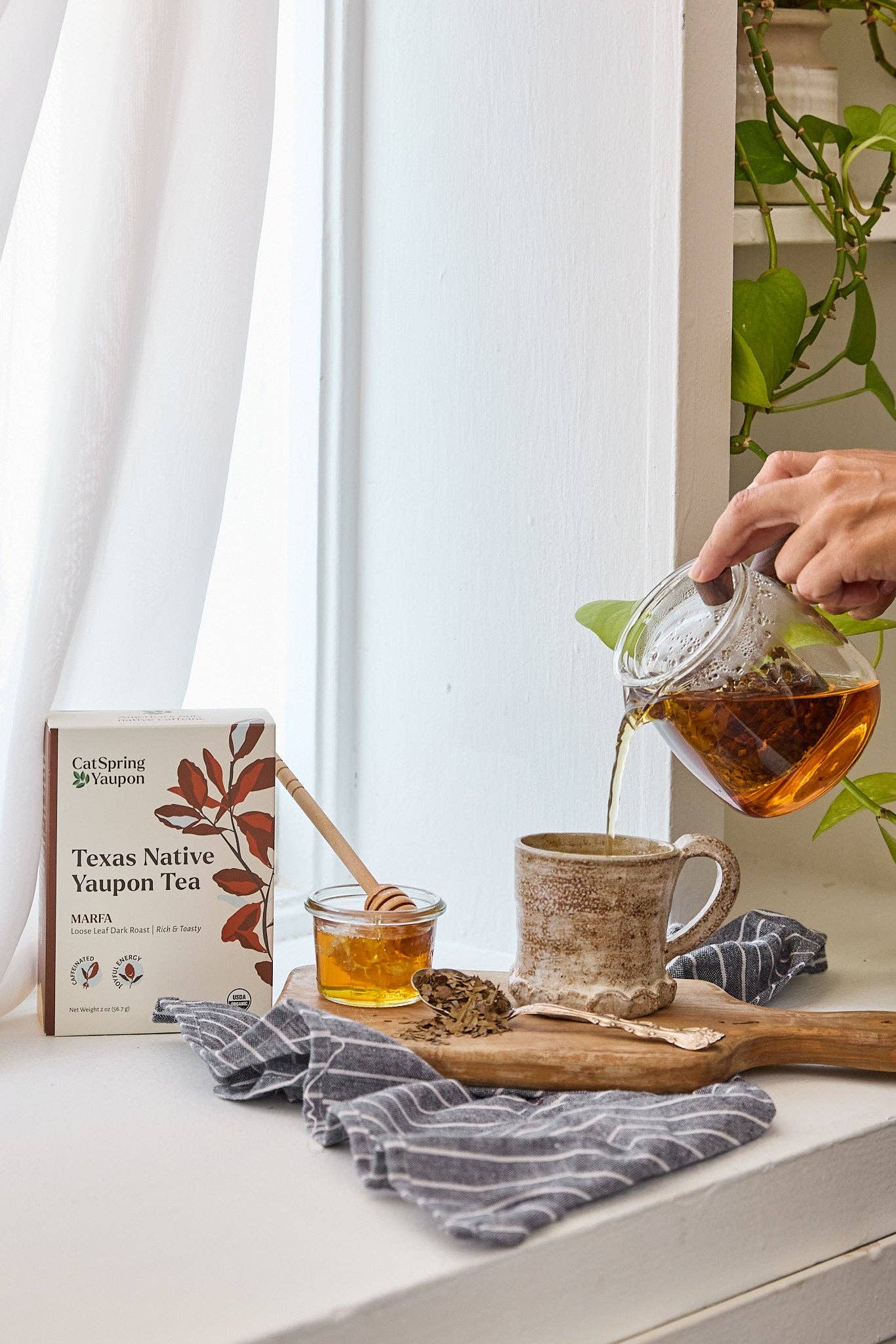 CatSpring Yaupon - Wholesale Tea Pot - Everyday Glass Teapot1