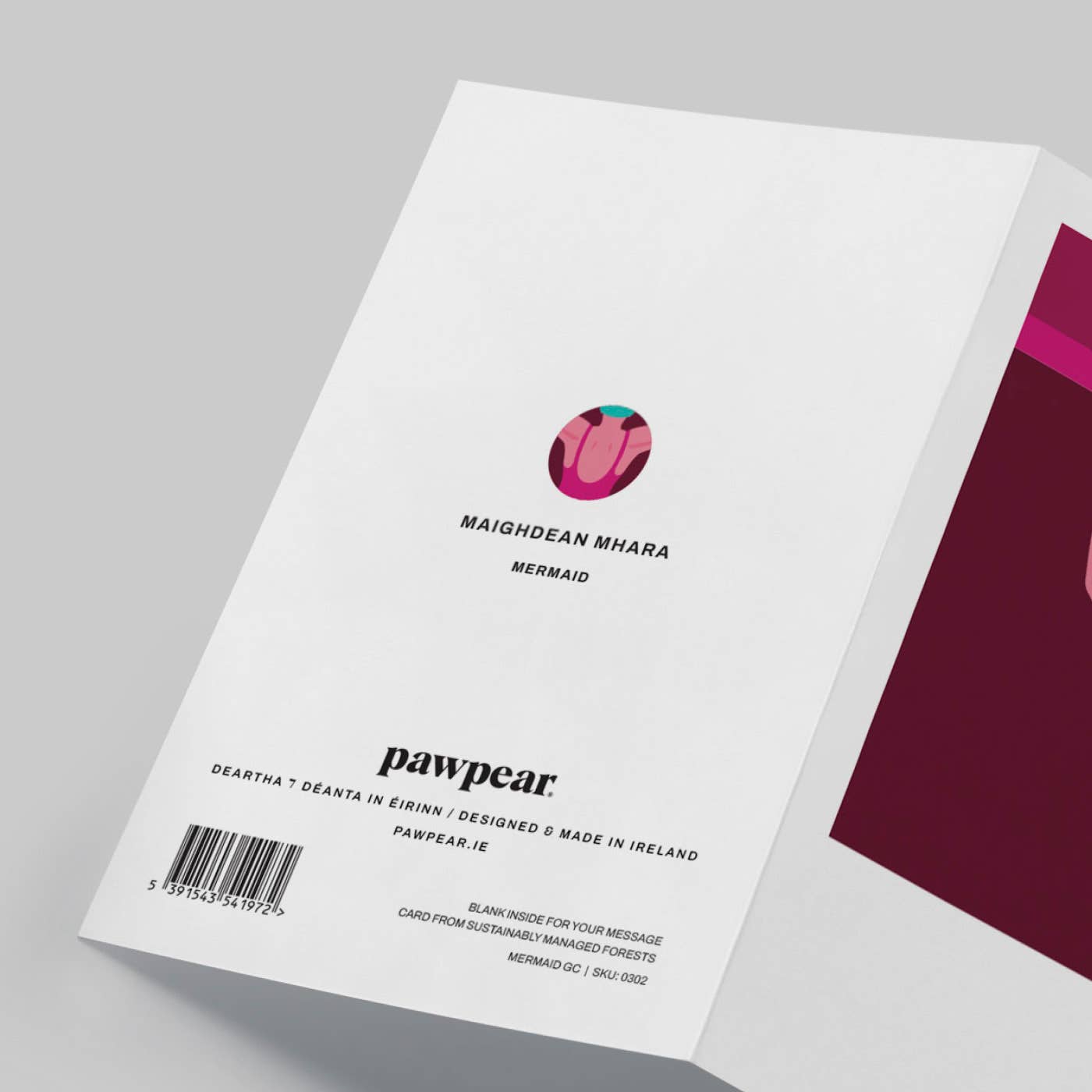 Pawpear – Cartão de saudação diária por atacado – Cartão Mermaid2