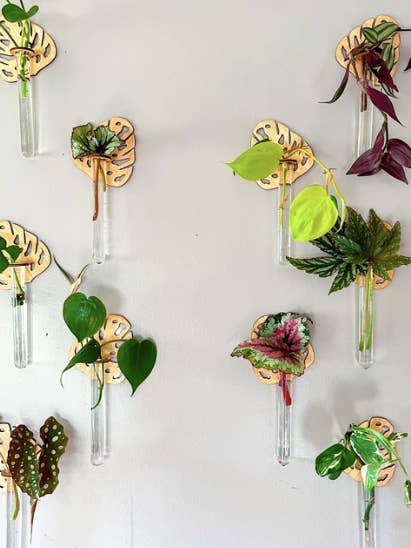 Test Tube Propagation Hanger for wholesale by Greens N' Things LLC