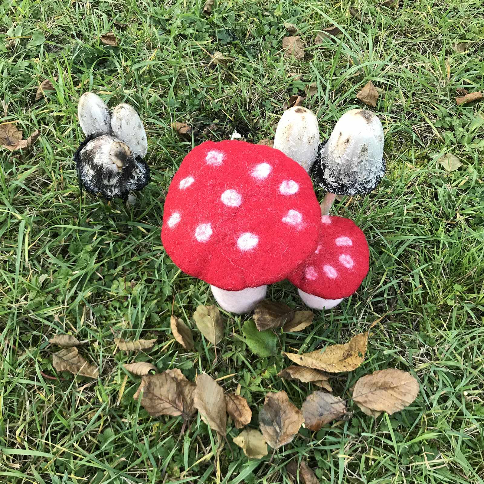 Tribal Trade GmbH - Vendita all'ingrosso Statuette decorative - Fungo amanita muscaria in feltro rosso, disponibile in 3 dimensioni7