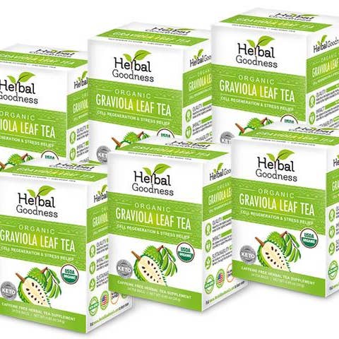 Herbal Goodness – Großhandel Teebeutel – Soursop-Blatttee — Graviola-Extrakt — Bio-Teebeutel 24/1 g — Zellimmunität und Entspannung — Kräuterkosmetik1