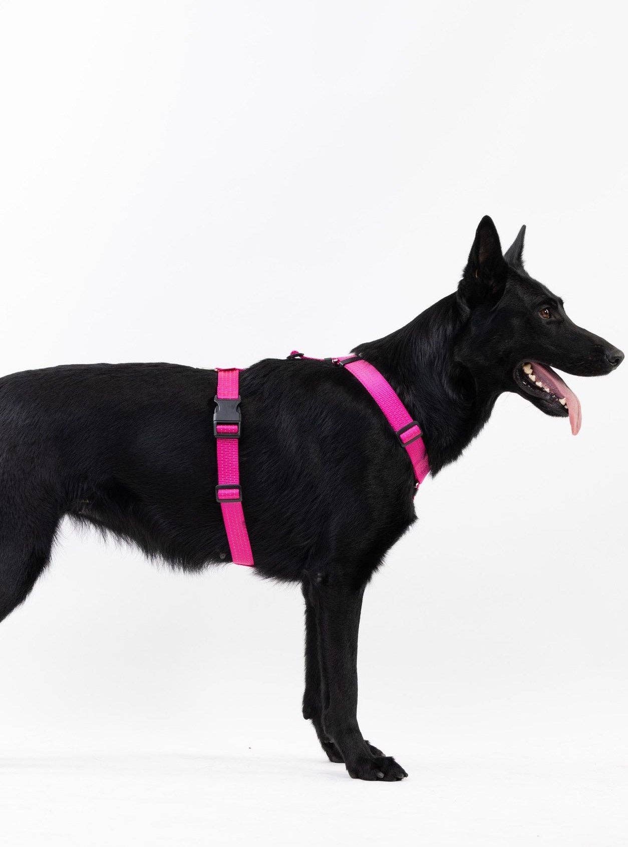 PETFORTA - Wholesale Pet Harness - Dog - Anatomical Dog Harness - pink color7