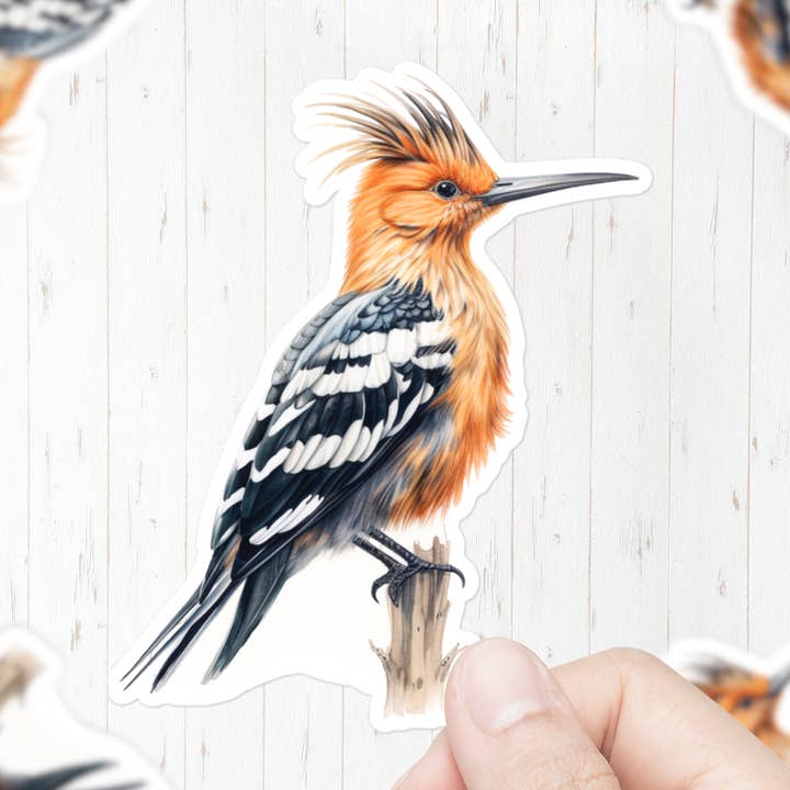 Wiedehopf-Vogelaufkleber für den Großhandel von Mystical Clarity