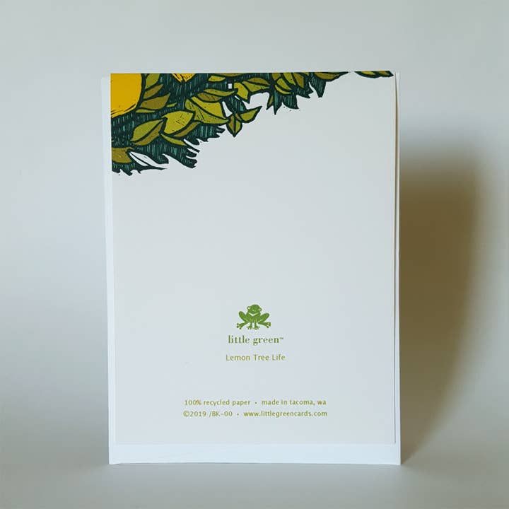 Little Green - Wholesale Stationery/Notecard Set - Assorted Tropical Blank Note Card Set of 8 / Fine Art Greeting Cards4