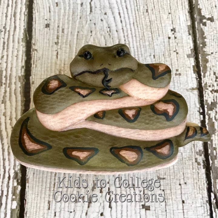 Summitbaking - Vente Emporte-pièce - Palm Pets Ensemble d'emporte-pièces Reptile6