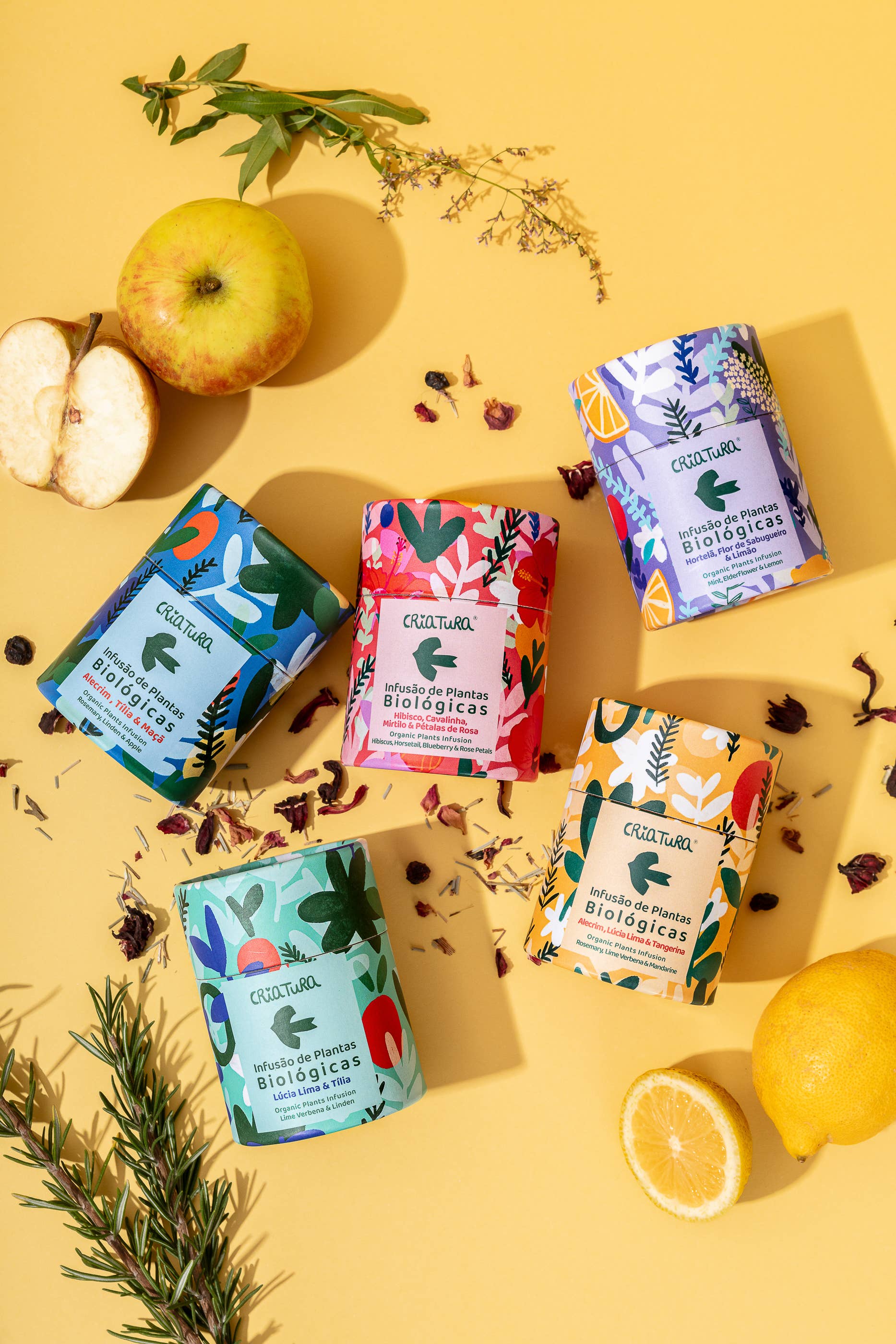 CRIATURA - Venta al por mayor Tés saludables/desintoxicantes - Té Herbal Orgánico - Romero, Tilo y Manzana4