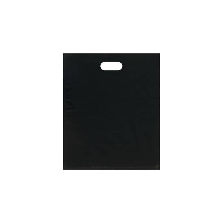 Store Supply Warehouse - Wholesale Gift Bag - Low Density Merchandise Bags16