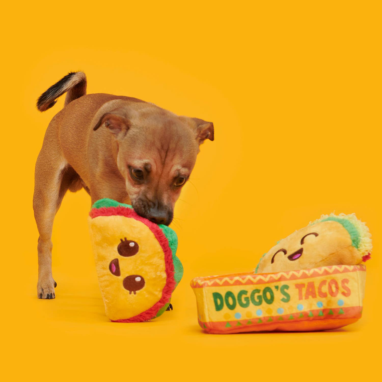 Pet Palette Distribution - Wholesale Pet Plush Toy - Dog - BARK Doggos Tacos Plush Dog Toy5
