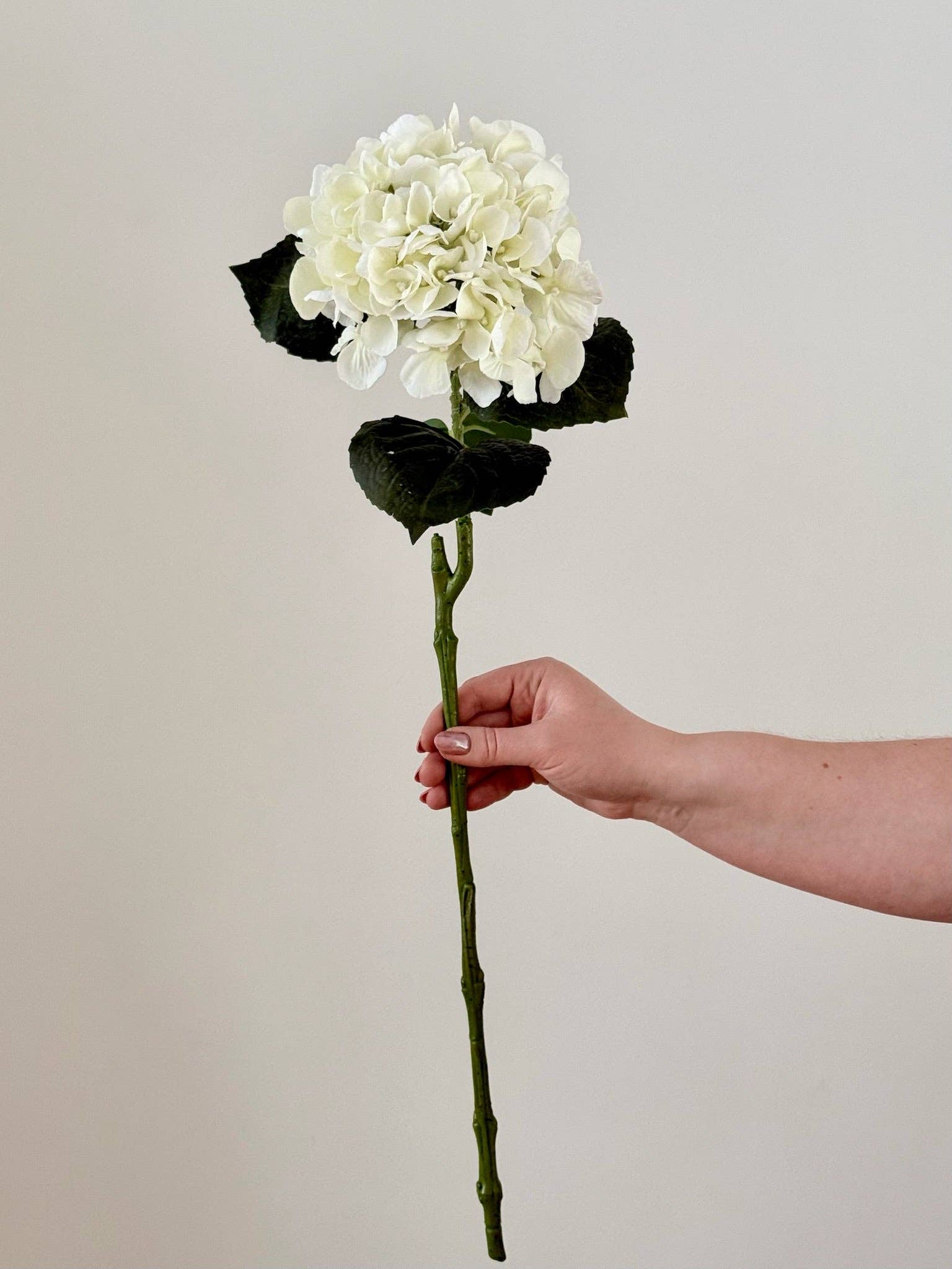 Eucalypt Co. - Wholesale Artificial Flowers - Real Touch Hydrangea1