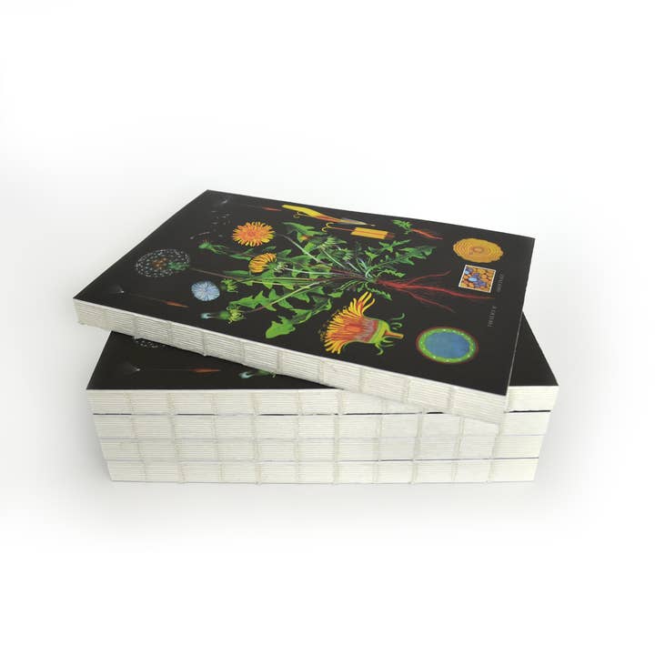 Curious Prints - Vente Cahiers - Carnet à reliure copte exposée vintage avec pissenlit botanique3