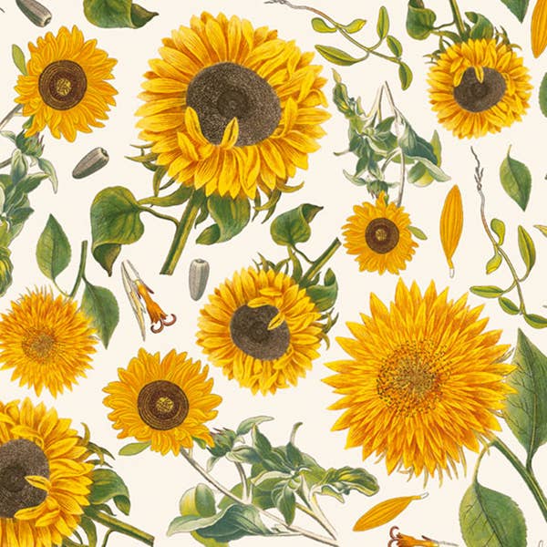 Sunflower - 70 x 100 cm for wholesale by Grafiche Tassotti