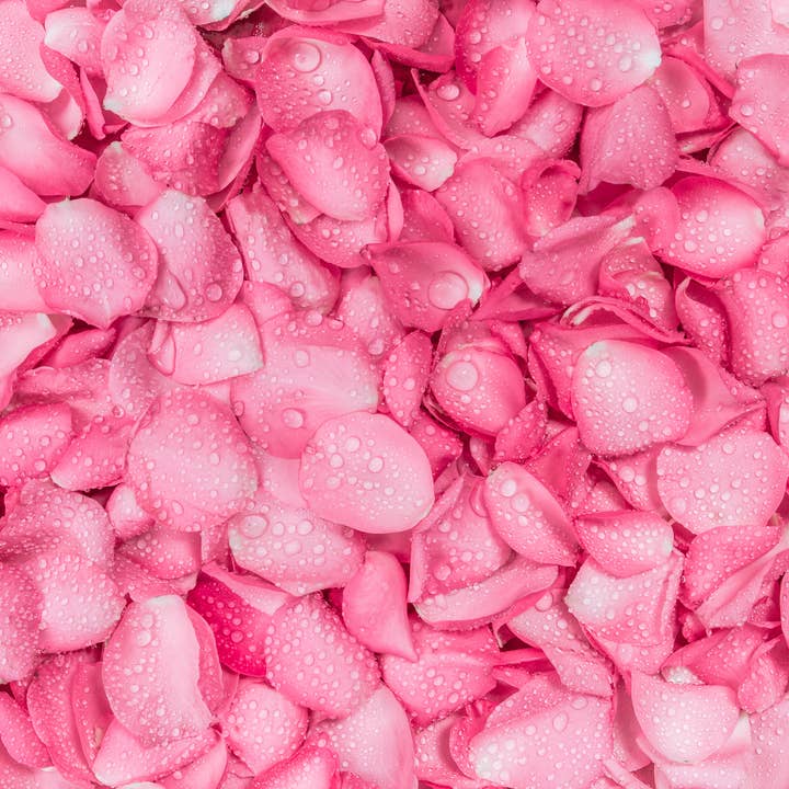 TRADITIONS DE FRANCE (International) - Wholesale Hard Candy - Handmade natural Rose hard candy from France1