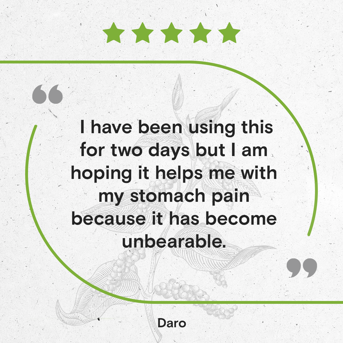 Secrets Of The Tribe - Wholesale Tincture - Black Peppercorn Tincture8