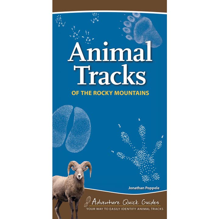 Animal Tracks of Rocky Mountains Quick Guide for wholesale by AdventureKEEN