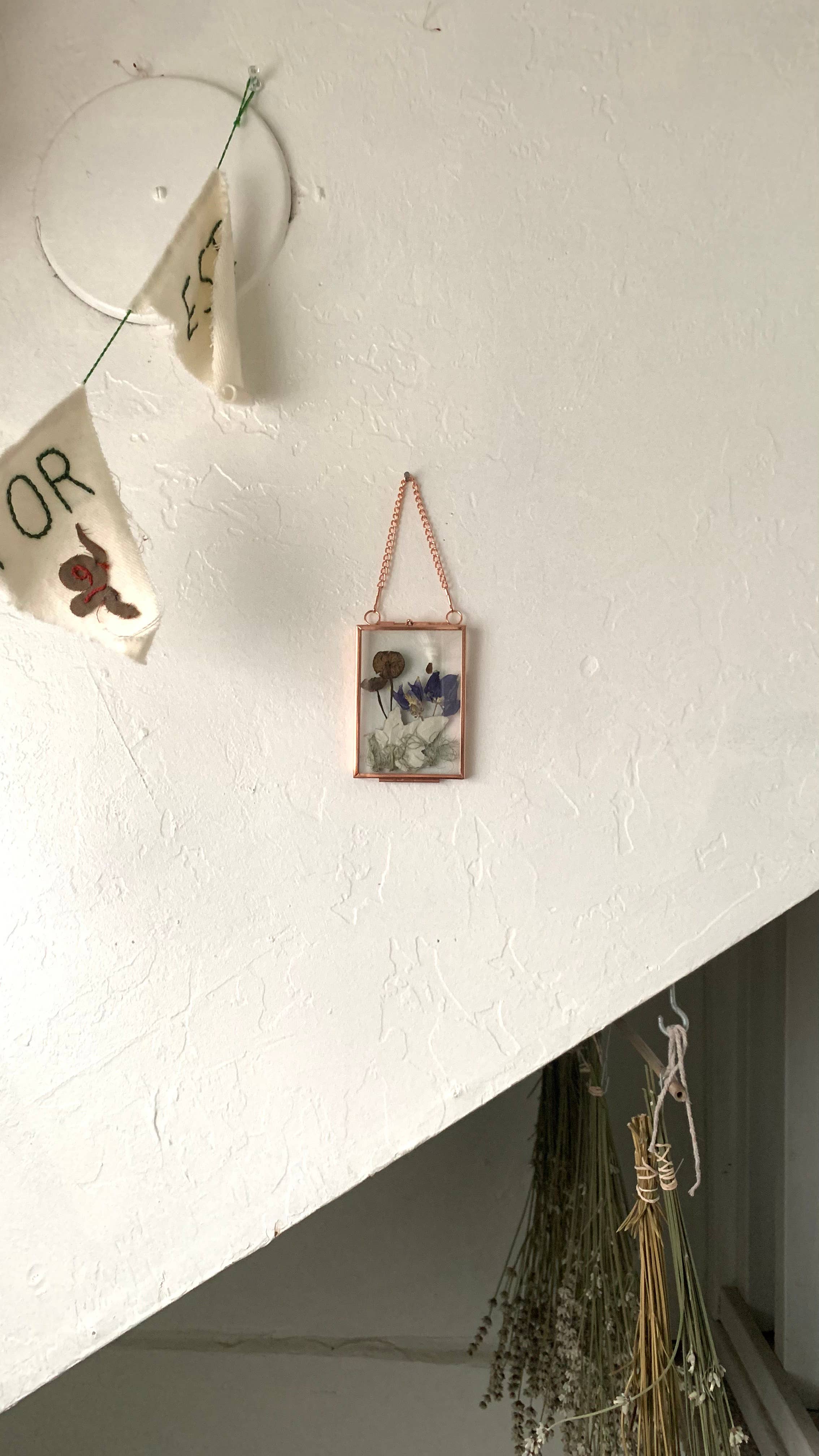 Twig and Snip - Wholesale Dried/Pressed Flowers - Miniature Pressed Flower & Fungi Windows 3.5"x 2.5"5