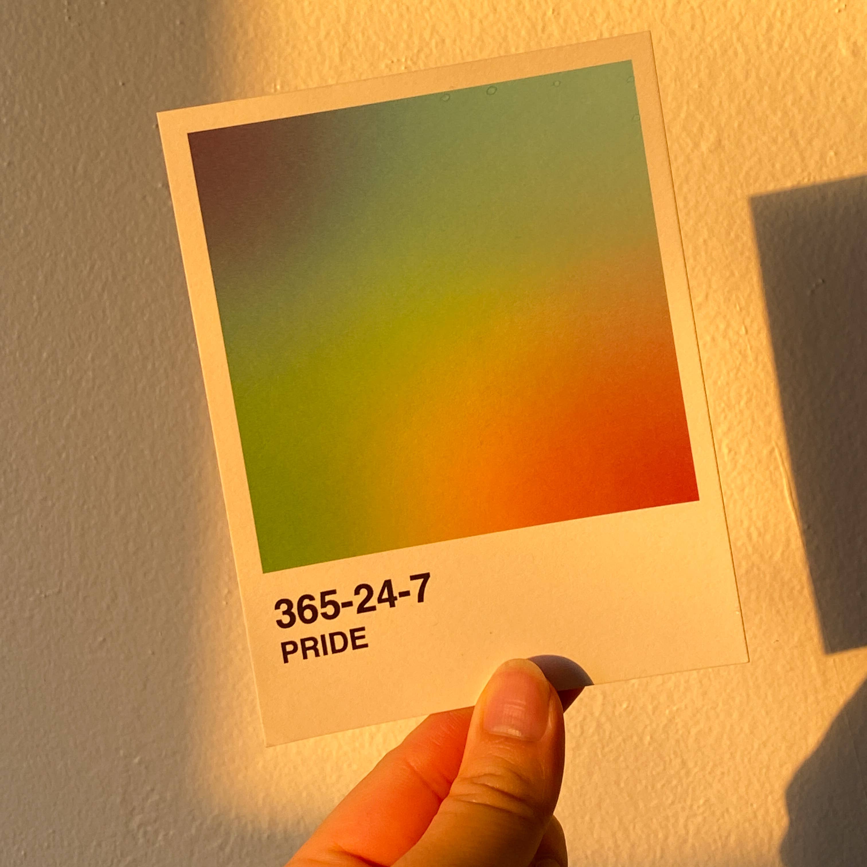 Paper Boy Goods - Wholesale Postcard - Pride Postcard2