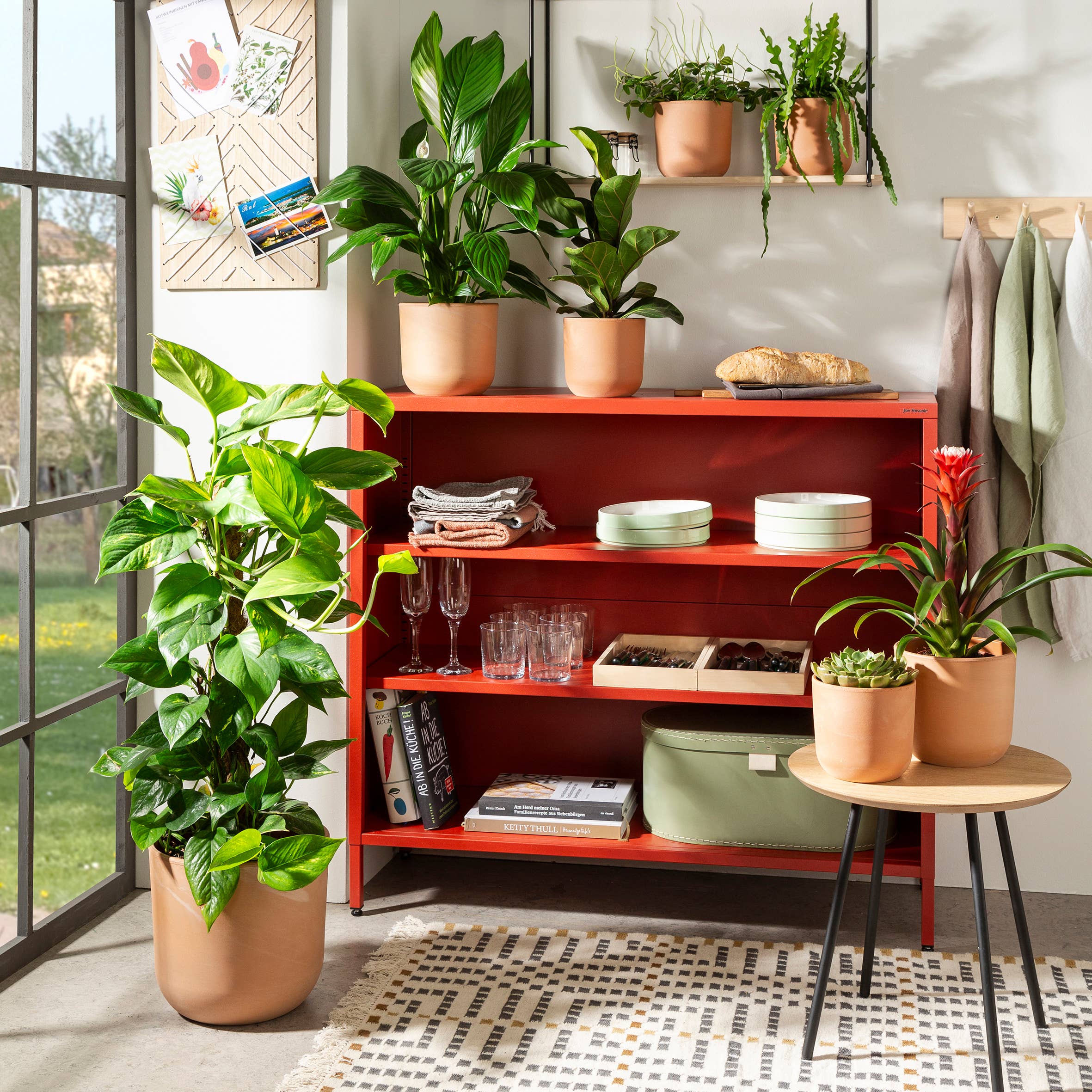 rosso La Natura 982 ceramic flower pot/planter for wholesale on Faire3