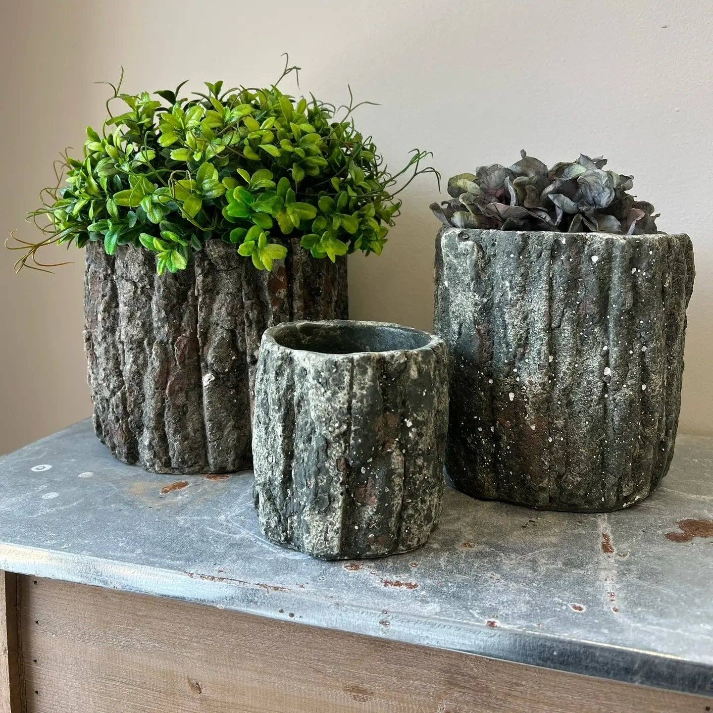 Vagabond Vintage - Wholesale Plant Pot - Round Concrete Pot with Bark Motif0