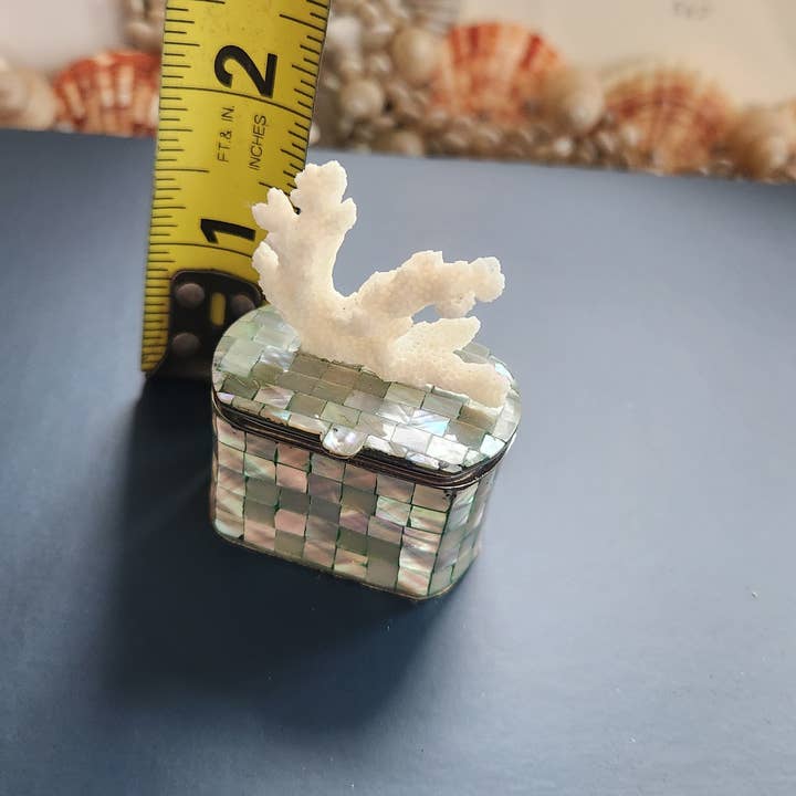 White Tulip Boutique - Wholesale Decorative Box - Mini Abalone MOP Shell Trinket Pill Box10