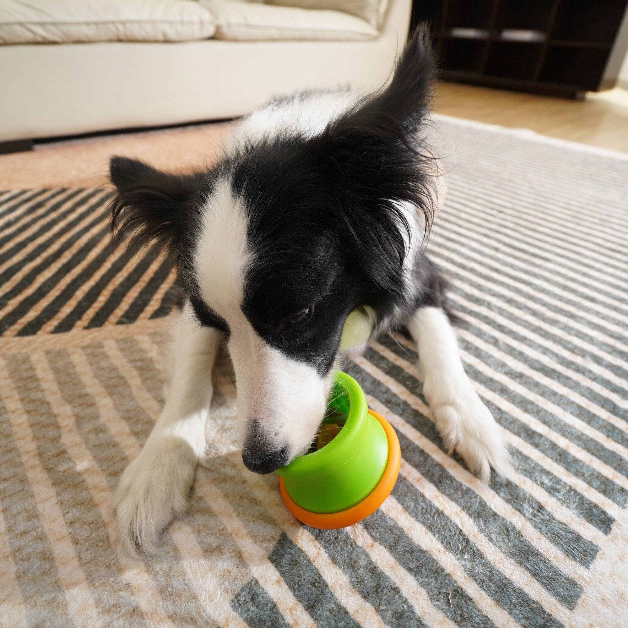 Pet Future llc - Wholesale Pet Toy - Cat/Dog - Puzzle Tumbler (S/M), detachable dog enrichment toy 2025 New7