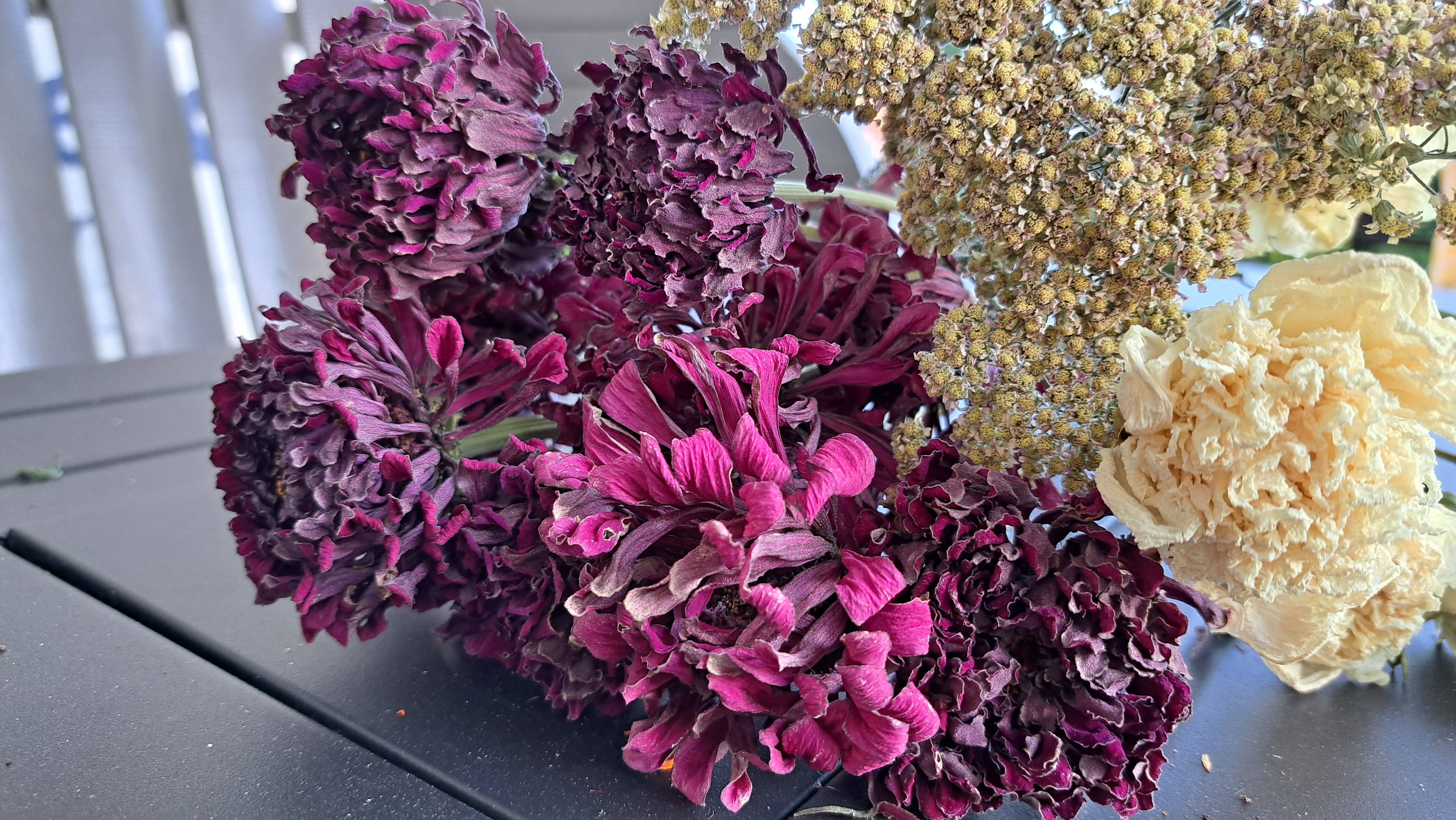 Fence Post Florals - Wholesale Gedroogde/geperste bloemen - Zinnia's6