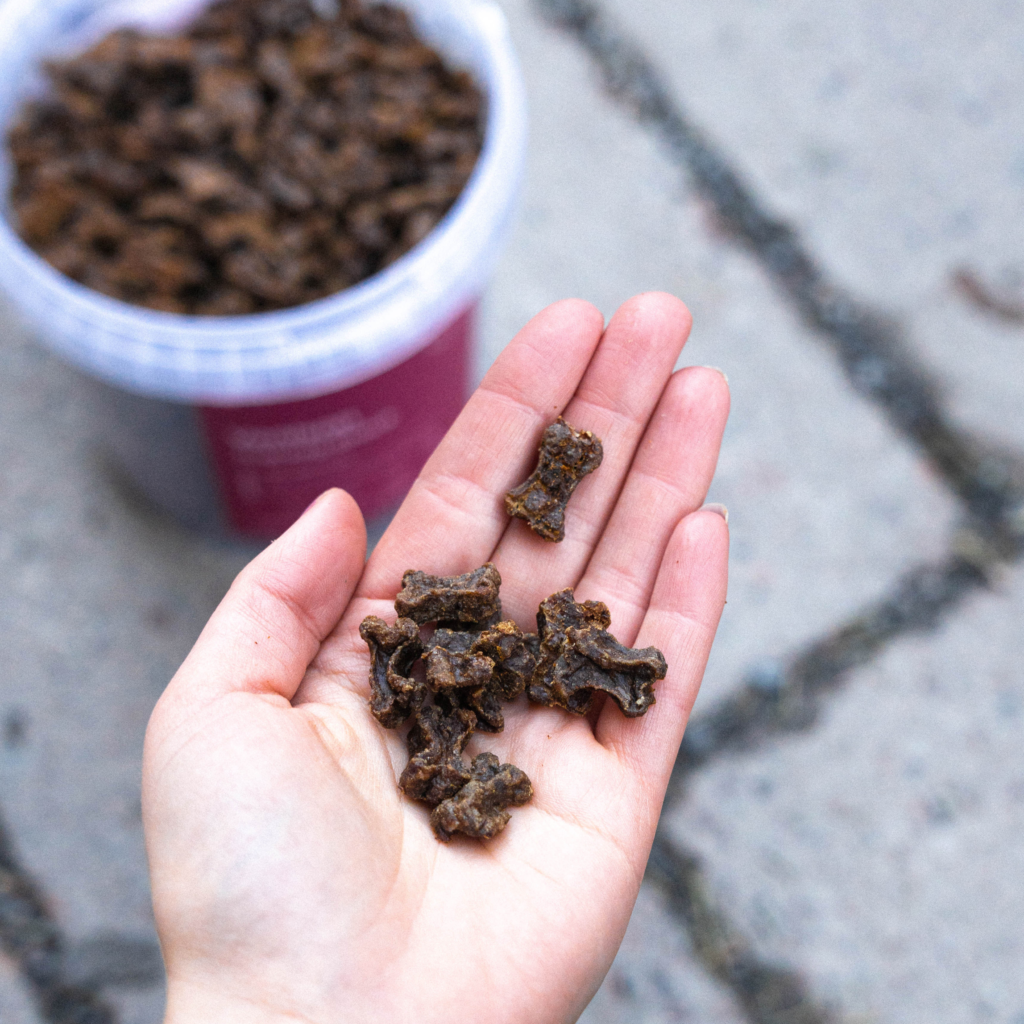 Buddy Pet Foods - Wholesale Pet Treats - Dog - Training snacks - Venison 100g1