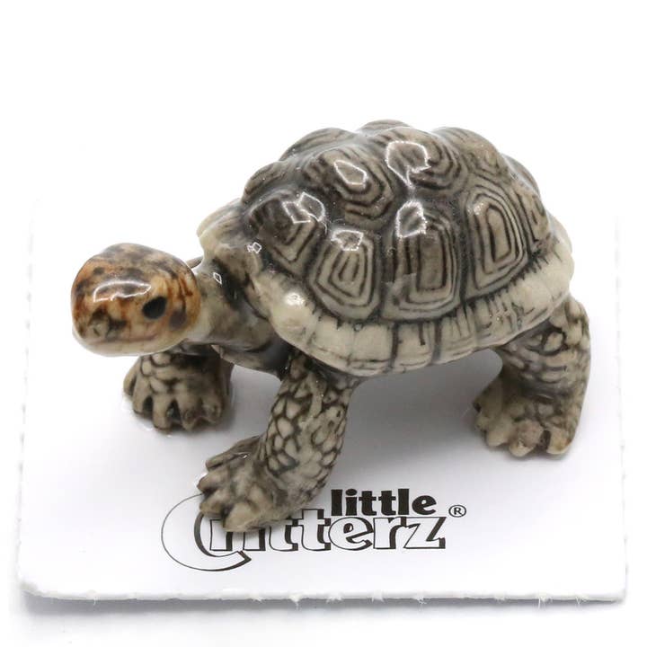 Darwin Galapagos Tortoise Porcelain Miniature for wholesale by Little Critterz
