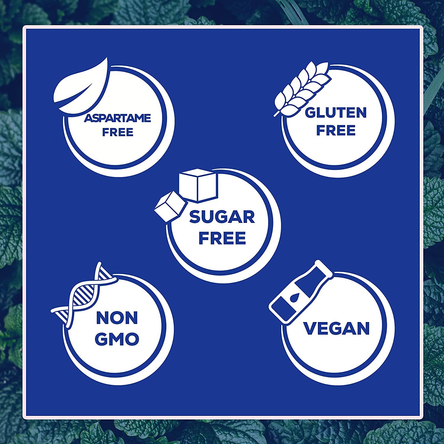 Focus Nutrition - Wholesale Chewing Gum - XyloBurst Sugar Free Xylitol Peppermint Gum 100 ct. Jar3