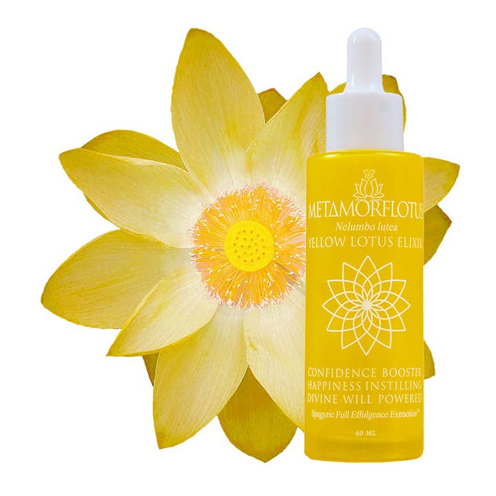 Élixir spagyrique au lotus jaune pour la vente par METAMORFLOTUS