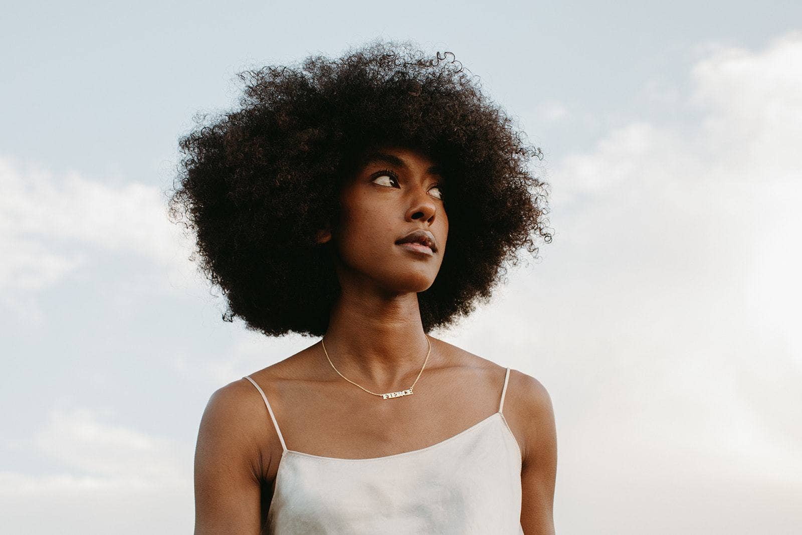 Rover & Kin - Wholesale Pendant/Charm Necklace - FIERCE Necklace2