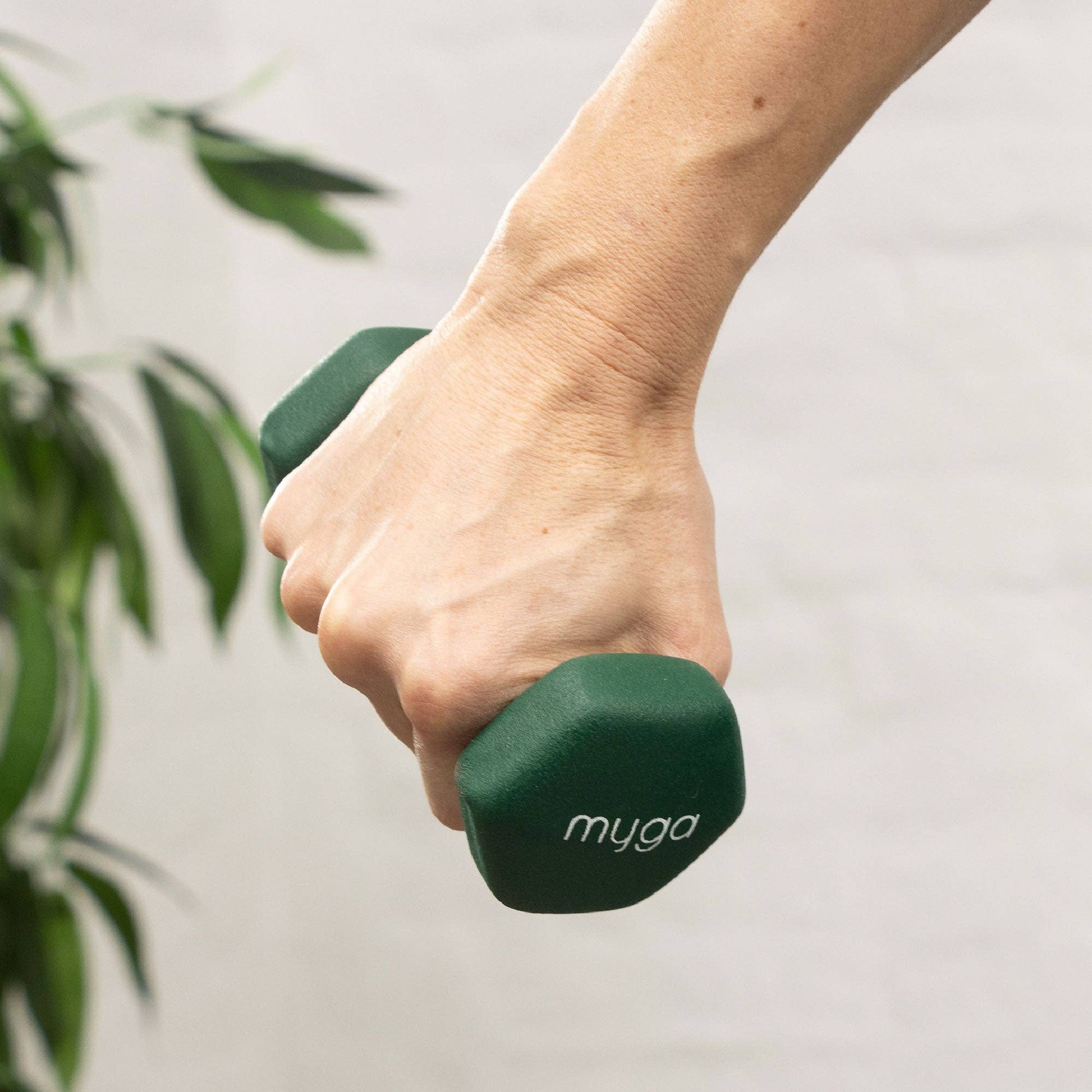 Myga Europe - Wholesale Fitness Equipment - Hexagonal Dumbbells (pair) - 1kg - Dark Green8