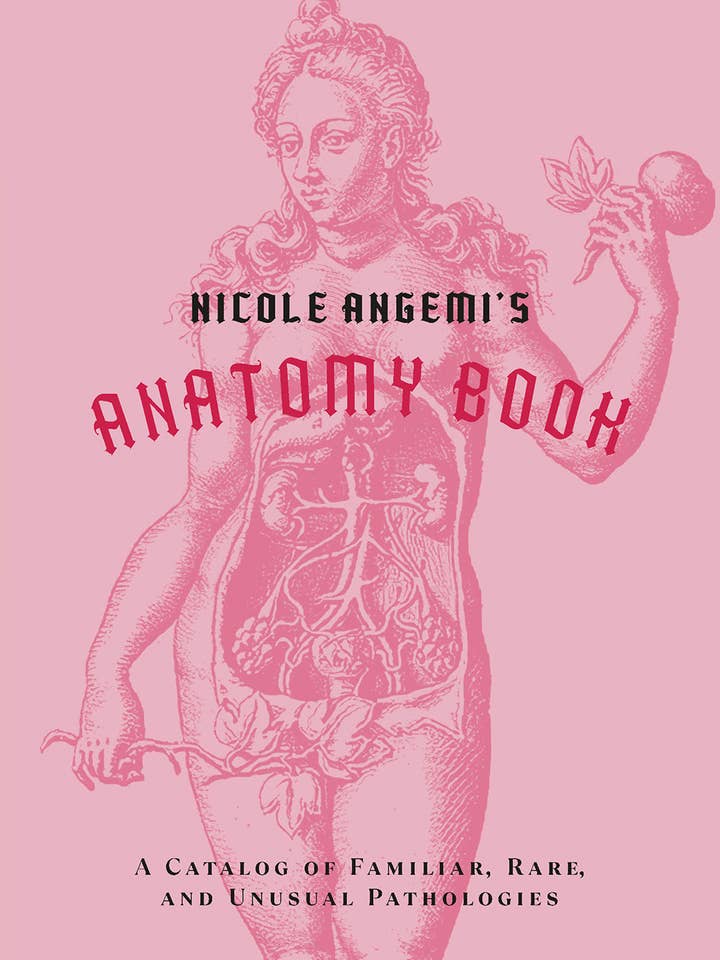 Nicole Angemi's Anatomy Book for wholesale by Abrams