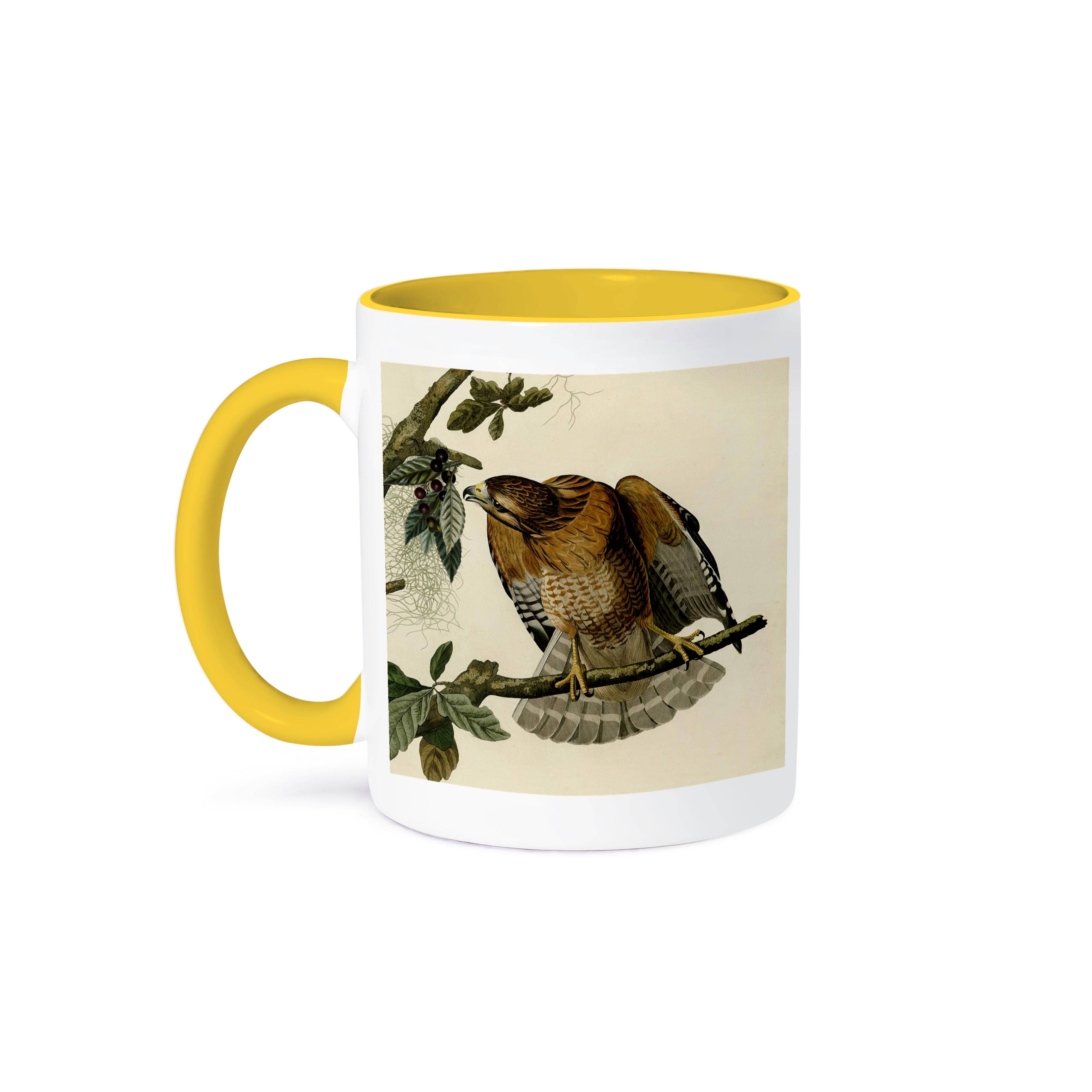 3dRose – wholesale Coffee mug – 3dRose, Red-shouldered Hawk Bird of Prey Audubon America Vintage Art Print, Mug0