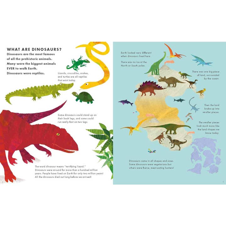 Hachette Book Group - Wholesale Preschool Book (3-5) - Big Book of Dinosaurs (Little Explorers Big Facts Books)1