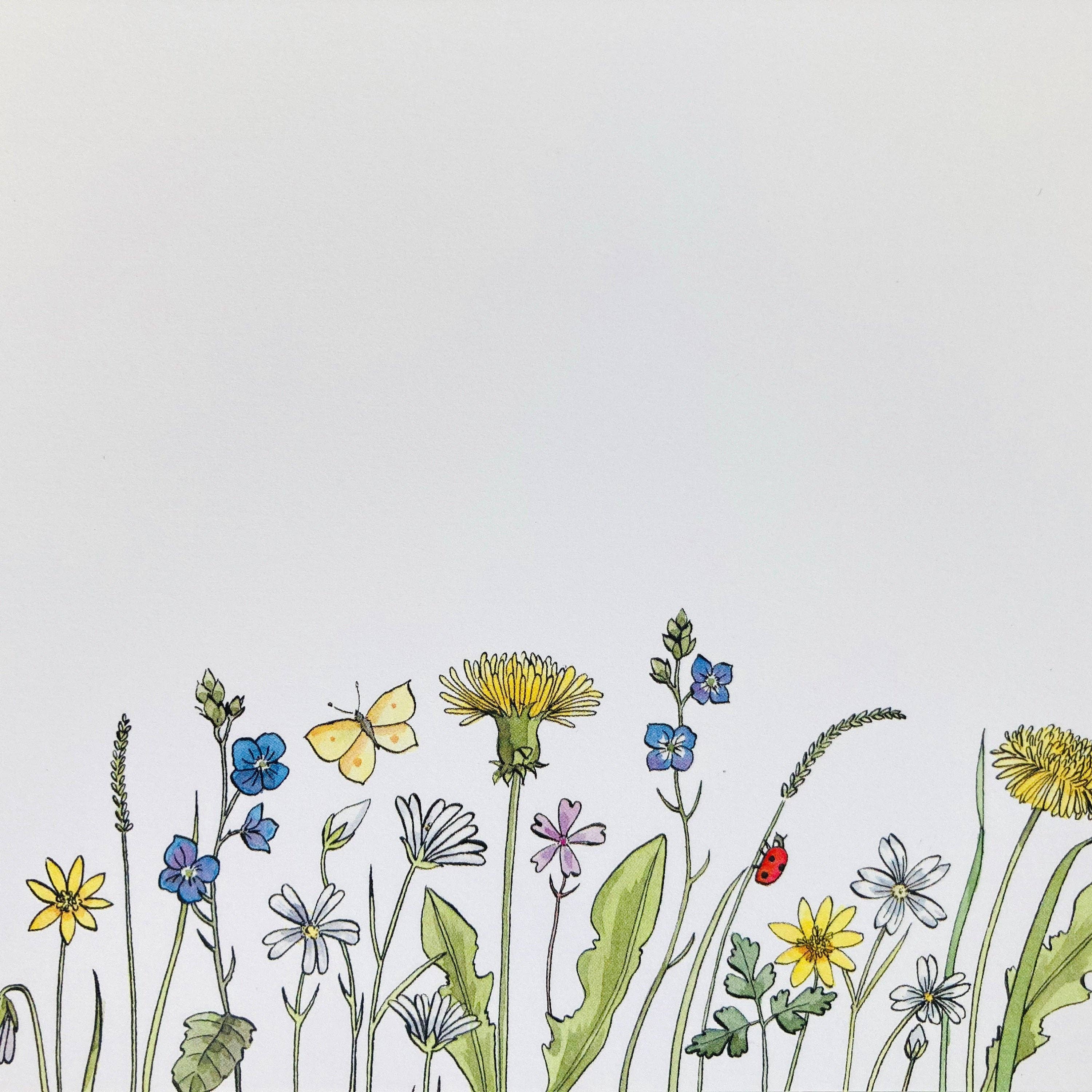 Ink and Snail Limited - Vente Assortiments de papeterie/cartes - Coffret d’écriture - Fleurs Sauvages2