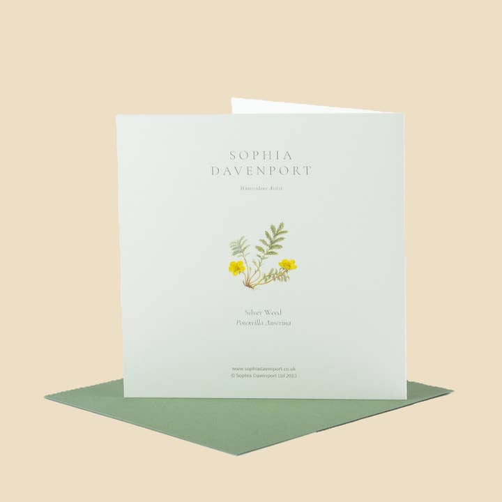 Sophia Davenport - Wholesale Everyday Greeting Card - Wildflower Greeting Cards and Notelets45