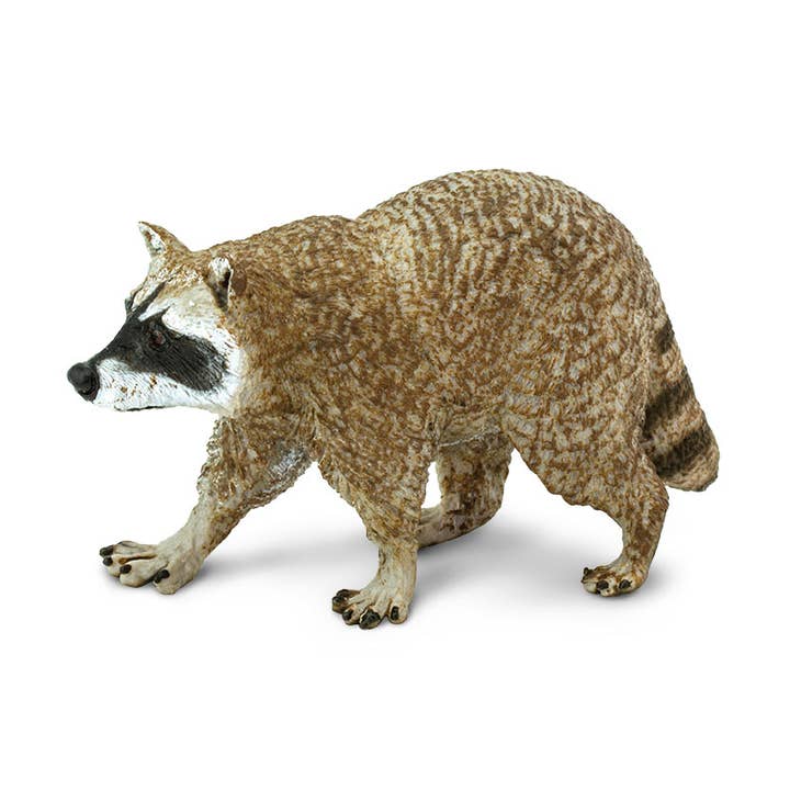 Raccoon - 223029 for wholesale by Safari Ltd.