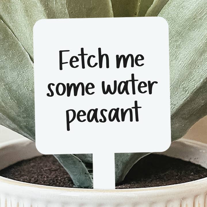 Fetch Me Some Water Peasant Plant Stake for wholesale by Knotty Design Co.