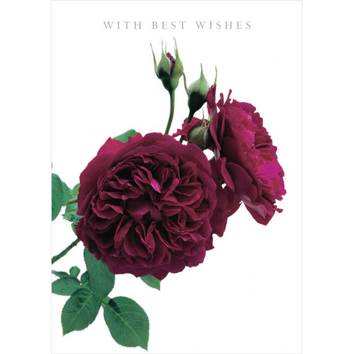 DA06 MED DE BEDSTE ØNSKER DUFTENDE KORT for engroshandel hos Dyson Design