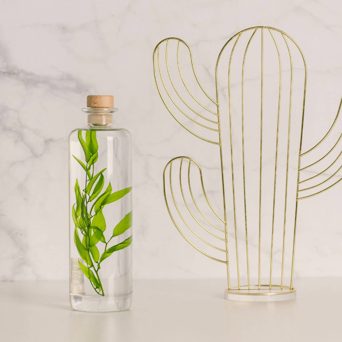 Theophile Berthon – Engroshandel Ægte plante – L'Herbarium Ruscus Italien lysegrøn - nedsænket plante3