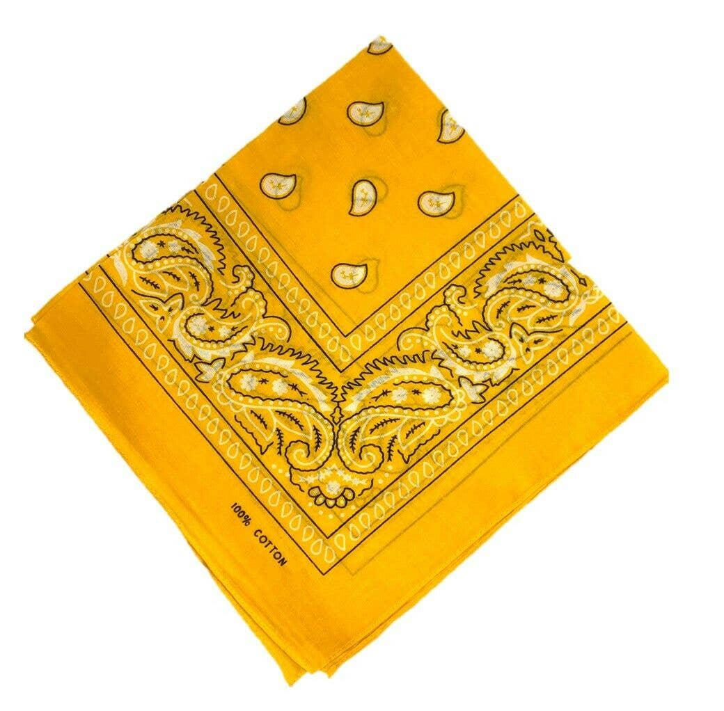 Stylex Party - Vente Bandana – femme - Écharpes Bandana Funky Design Paisley Headband8