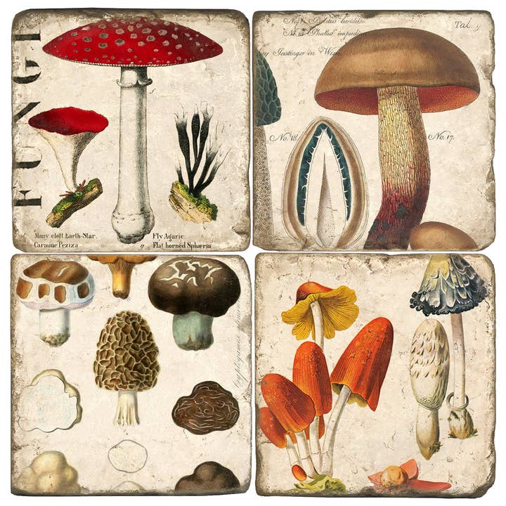 Mushroom Botanical — Marmor-Untersetzer-Set mit Trommelmotiv für den Großhandel von Studio Vertu
