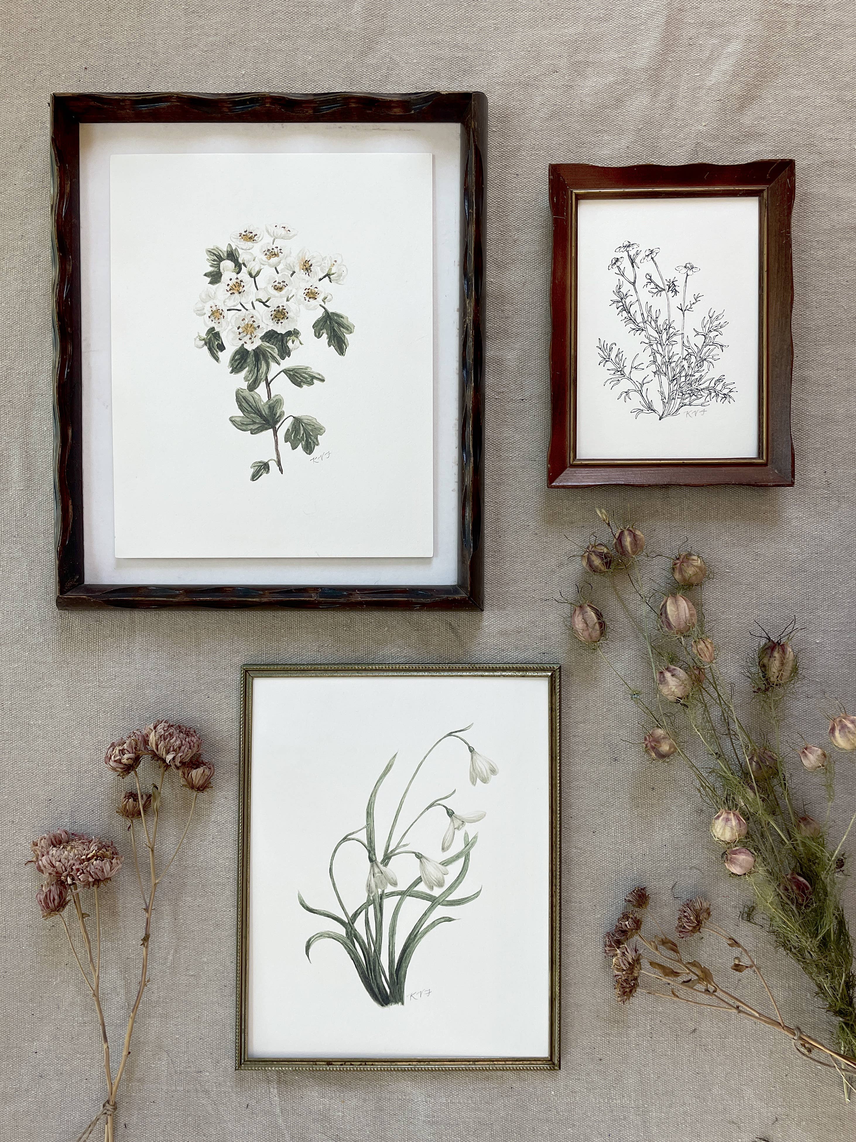 Kara Valentino Ffield Art - Wholesale Art Print - Chamomile |  Art Print 5