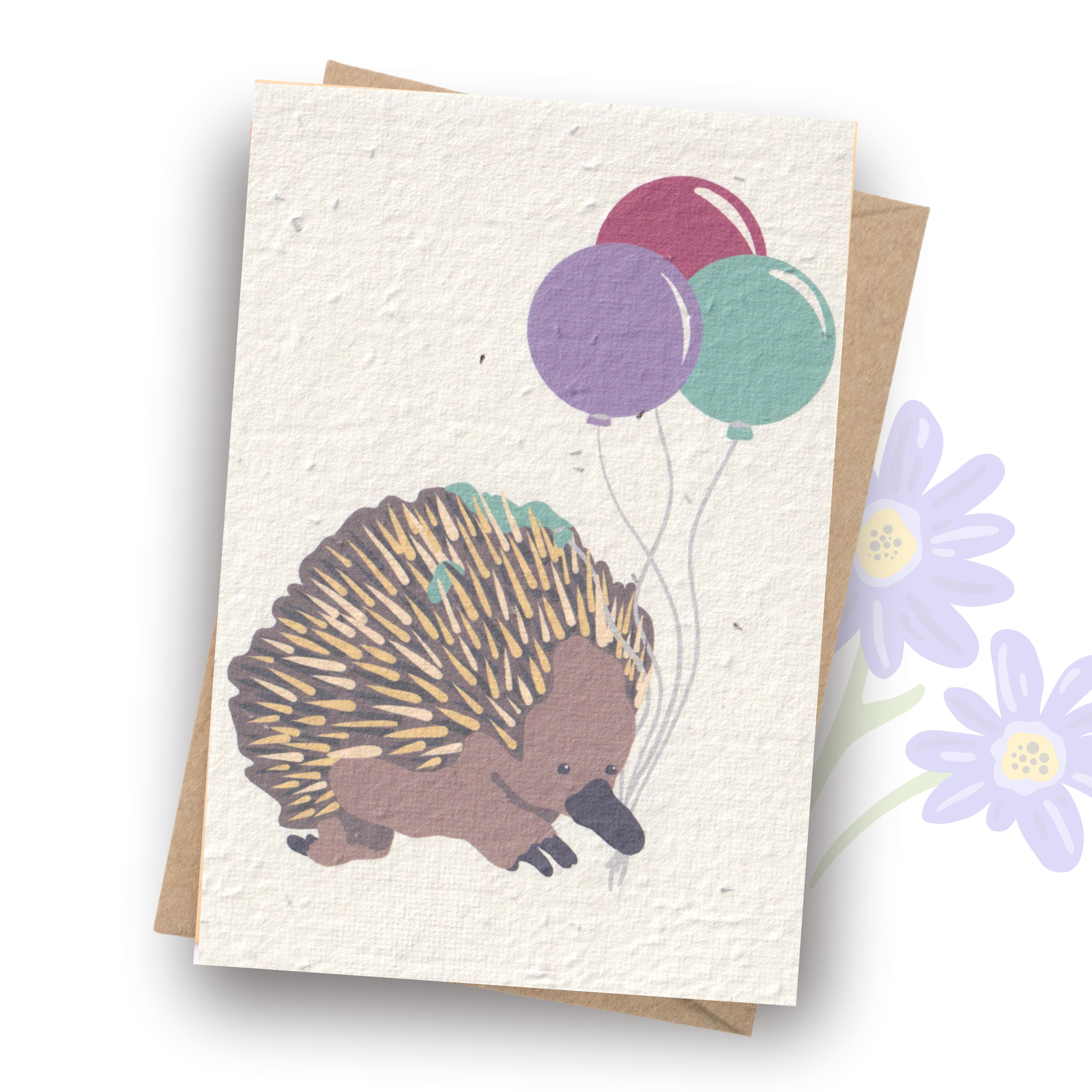Tilly Scribbles - Wholesale Birthday card - Plantable Echidna Birthday Card2
